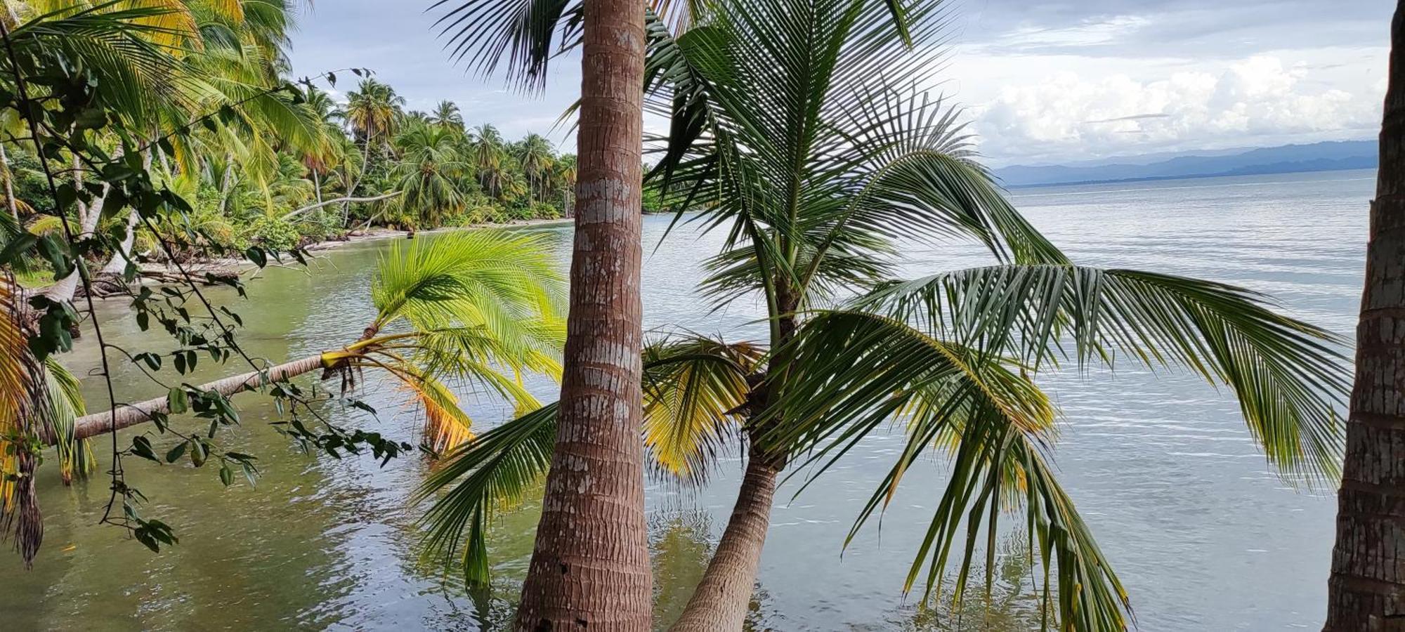 Bambu Lounge Bocas Hostel Бокас Екстер'єр фото