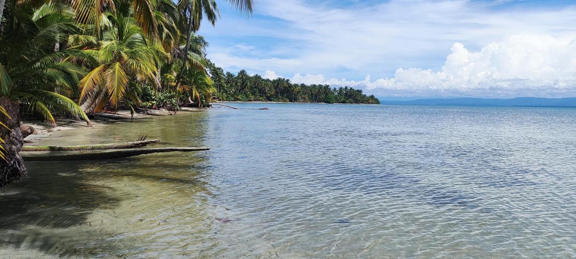 Bambu Lounge Bocas Hostel Бокас Екстер'єр фото