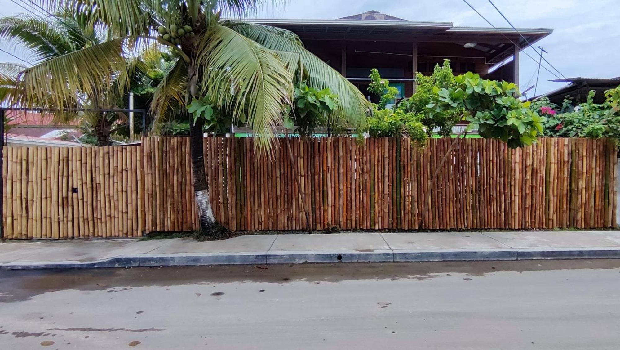 Bambu Lounge Bocas Hostel Бокас Екстер'єр фото