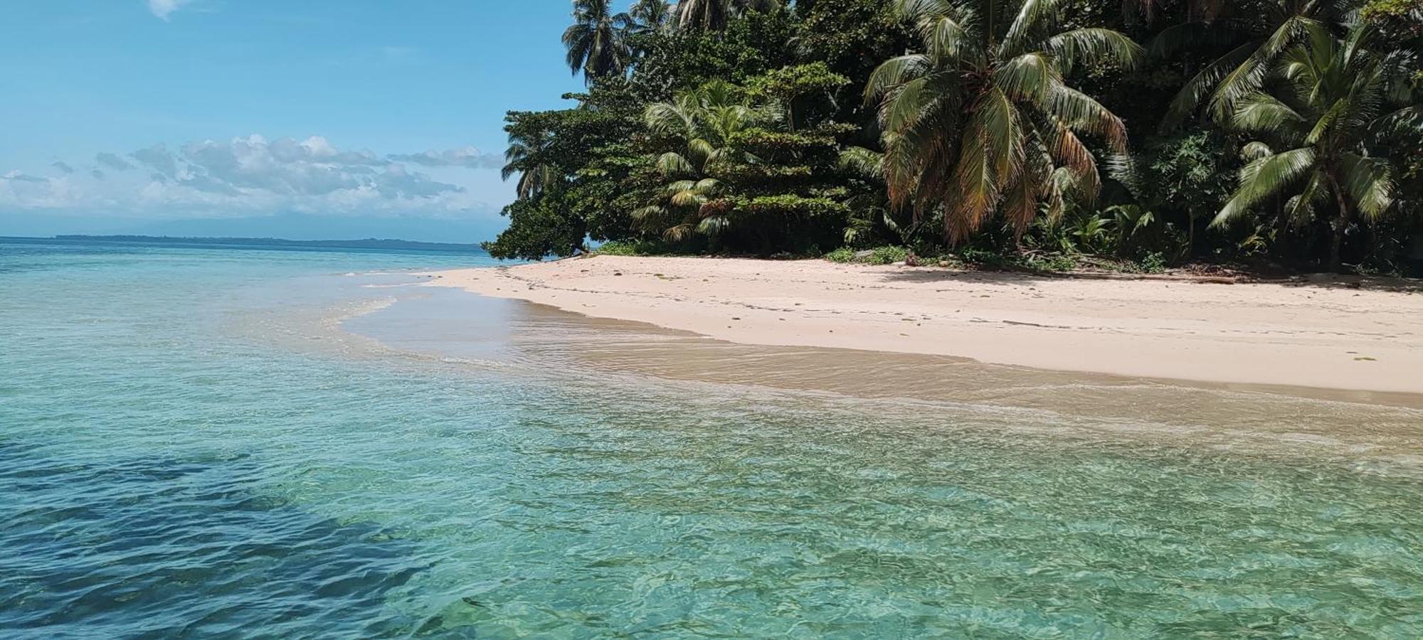 Bambu Lounge Bocas Hostel Бокас Екстер'єр фото