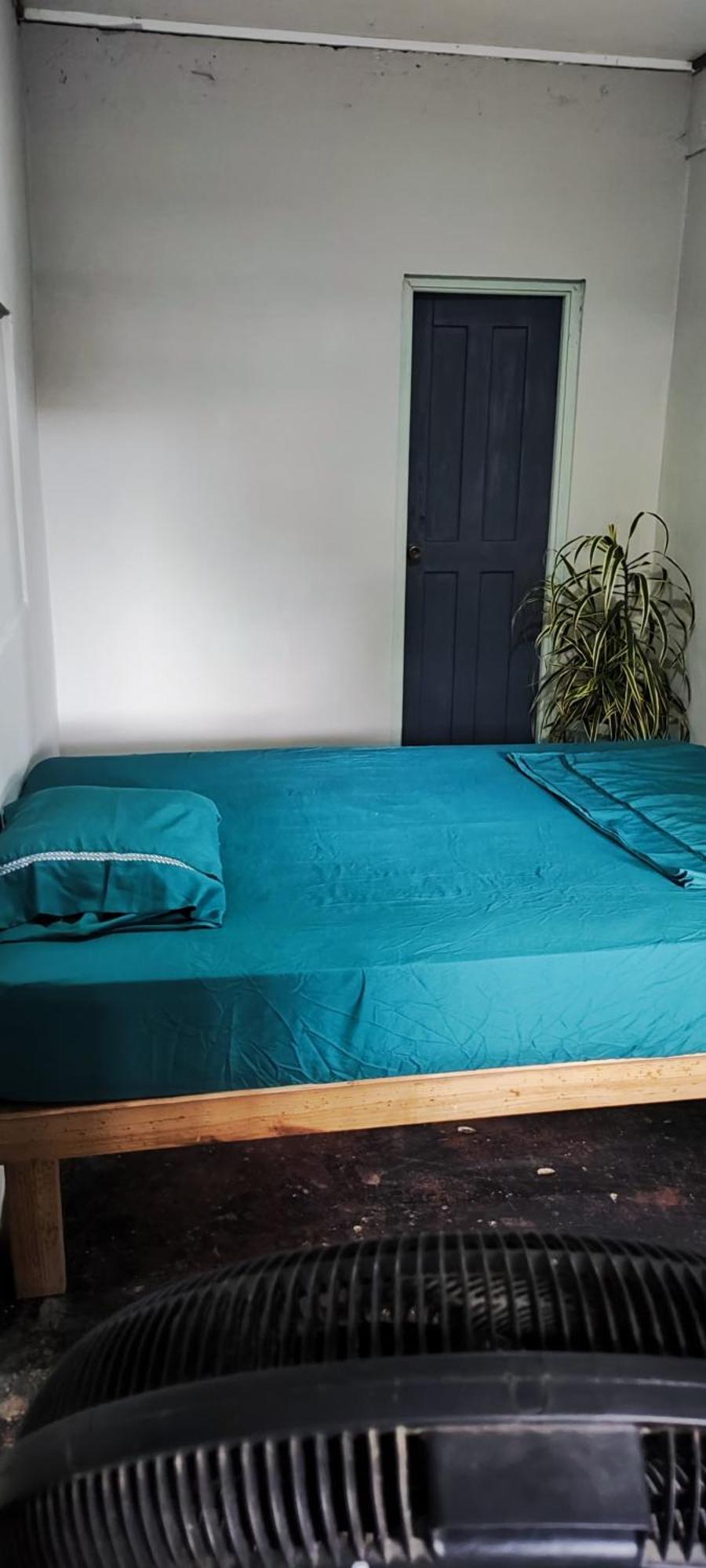 Bambu Lounge Bocas Hostel Бокас Екстер'єр фото